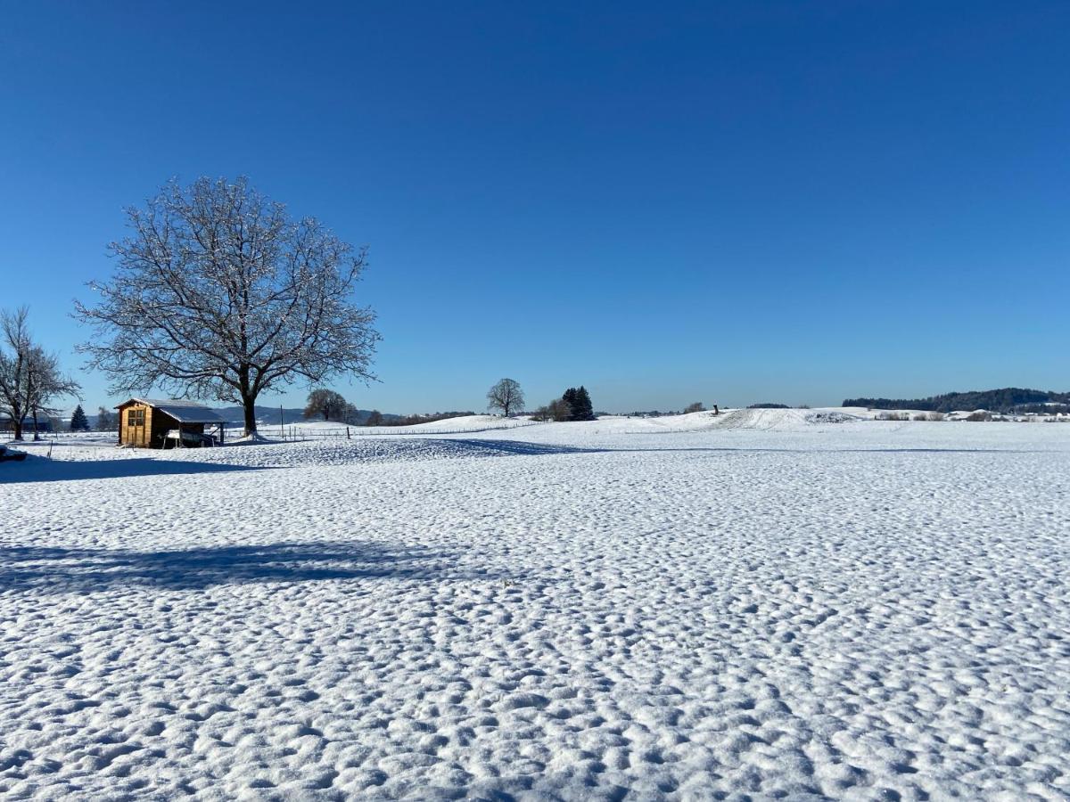 Das Blaue Haus - Ein Sommertraum Und Ein Wintermaerchen Weiler-Simmerberg Extérieur photo