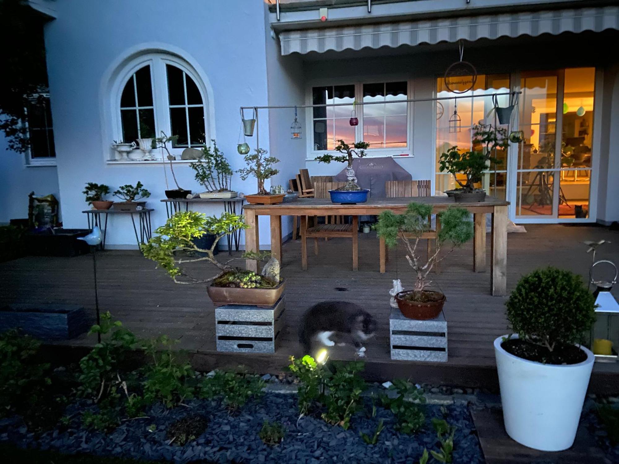 Das Blaue Haus - Ein Sommertraum Und Ein Wintermaerchen Weiler-Simmerberg Extérieur photo