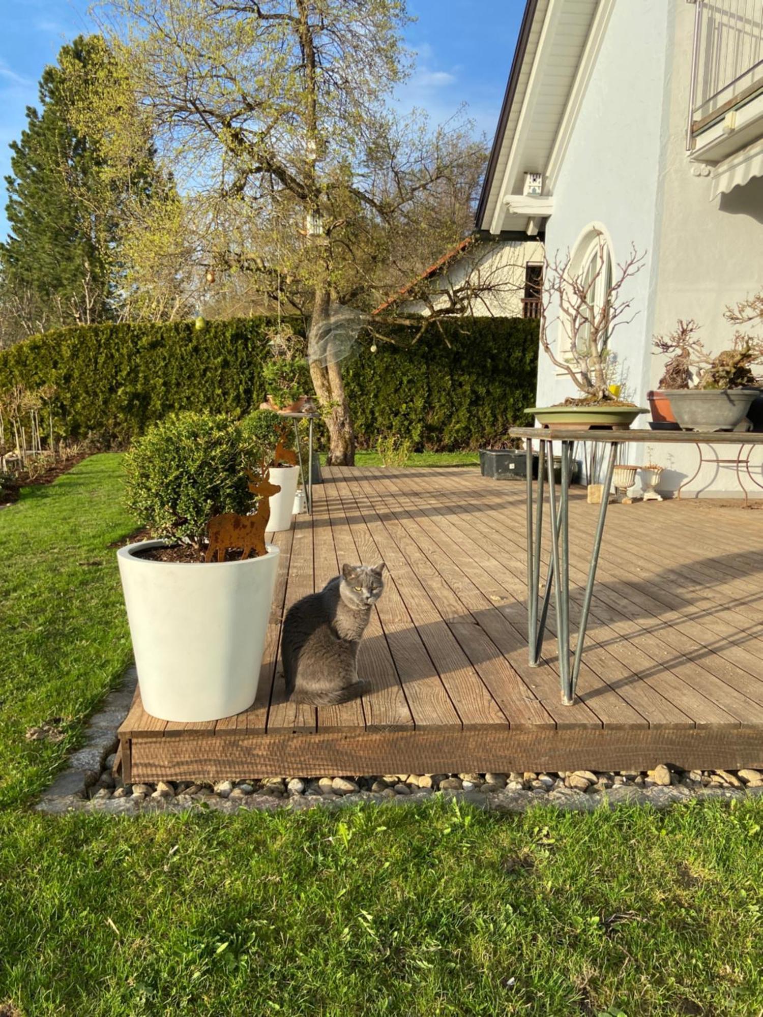 Das Blaue Haus - Ein Sommertraum Und Ein Wintermaerchen Weiler-Simmerberg Extérieur photo