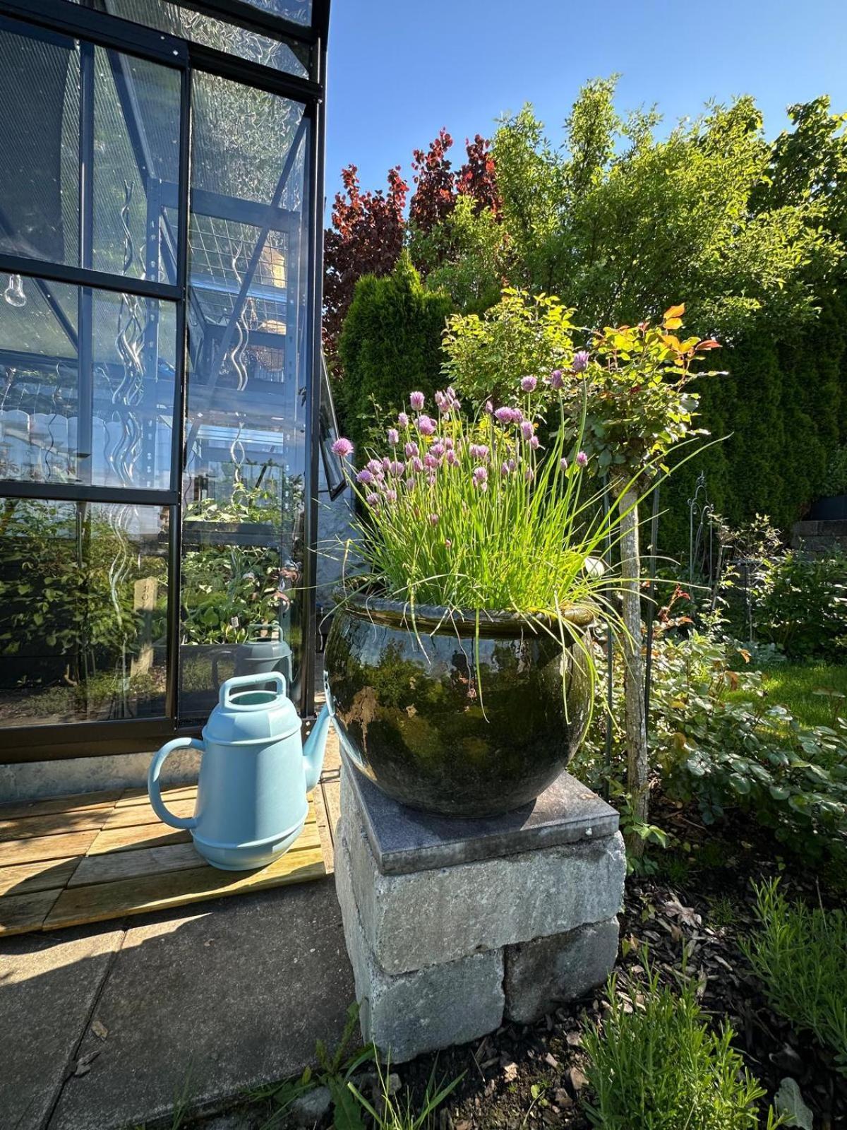 Das Blaue Haus - Ein Sommertraum Und Ein Wintermaerchen Weiler-Simmerberg Extérieur photo